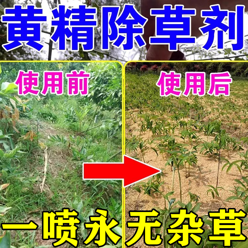 紧张对决中秘密武器令人刮目相看