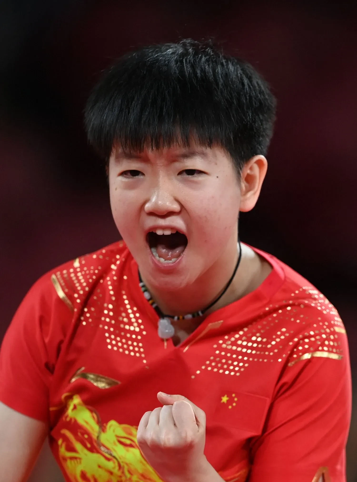 波兰队绝杀韩国队，许昕状态火热的简单介绍