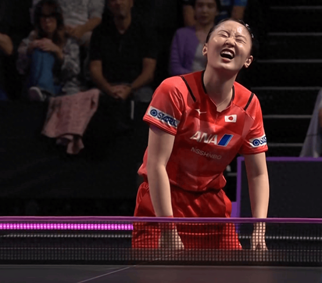 法国队完胜中国队，马琳惊艳四座的简单介绍