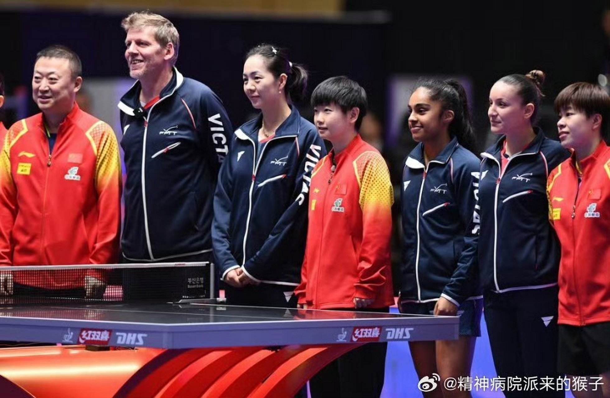 法国队完胜中国队，马琳惊艳四座的简单介绍