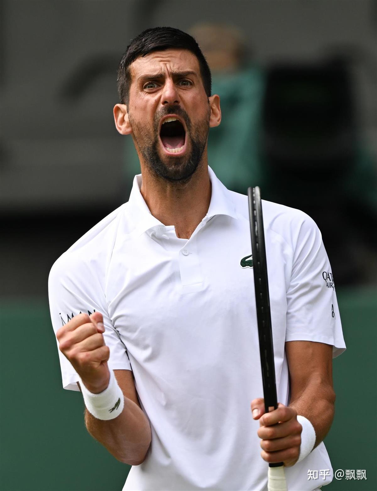 包含温网碾压年终总决赛，德约科维奇扛起全队的词条